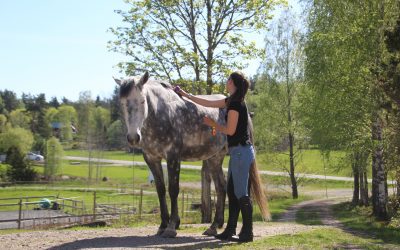 Avslappning stillastående