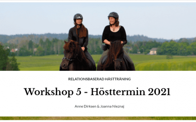 Extra: Workshop 2021 – Träna i stallet