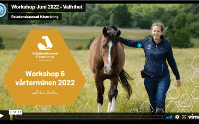 Extra: Workshop Juni 2022 – Valfrihet, Startknappar